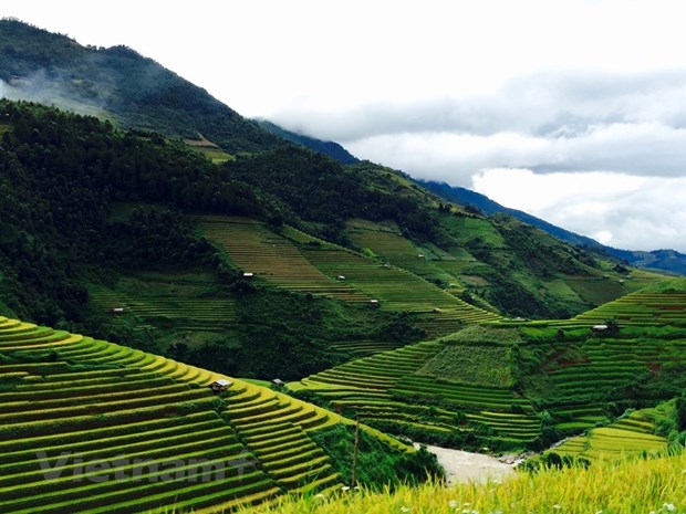 Breathtaking beauty of Mu Cang Chai terraced fields featured on French press